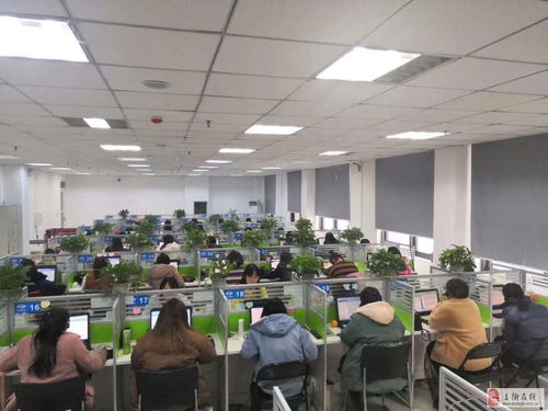 移動客服崗位 鄭州聲谷科技誠聘信息技術咨詢人才