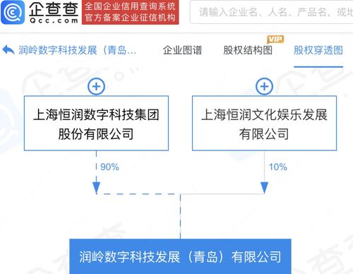 數(shù)字文化創(chuàng)意軟件開發(fā) 融合科技與藝術(shù)的新引擎